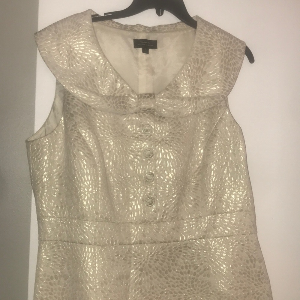 Cream & Gold Dress